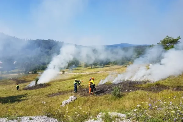 Pożar ogniska przy lesie w Wielu – strażacy apelują o rozwagę