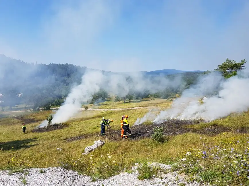 Pożar ogniska przy lesie w Wielu – strażacy apelują o rozwagę