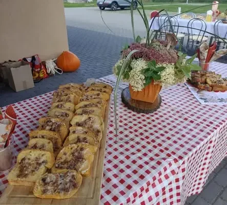 Piknik „Kociołek i ogień” w Ostrowie – dynia, zioła i wspólne biesiadowanie