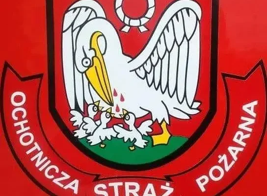 Strażacy z młodzieżową drużyną pożarniczą oddali hołd tragicznie zmarłym druhom z PSP Nisko