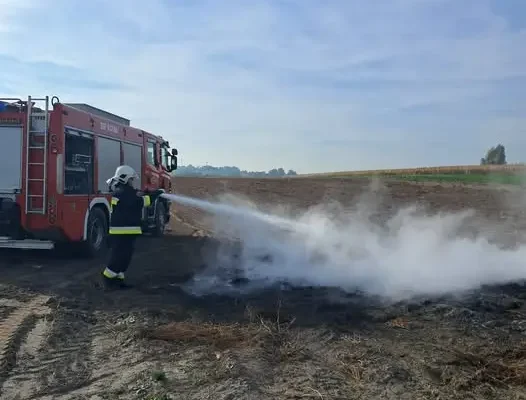 Pożar pozostałości roślinnych przy ul. Krzywej w Kcyni