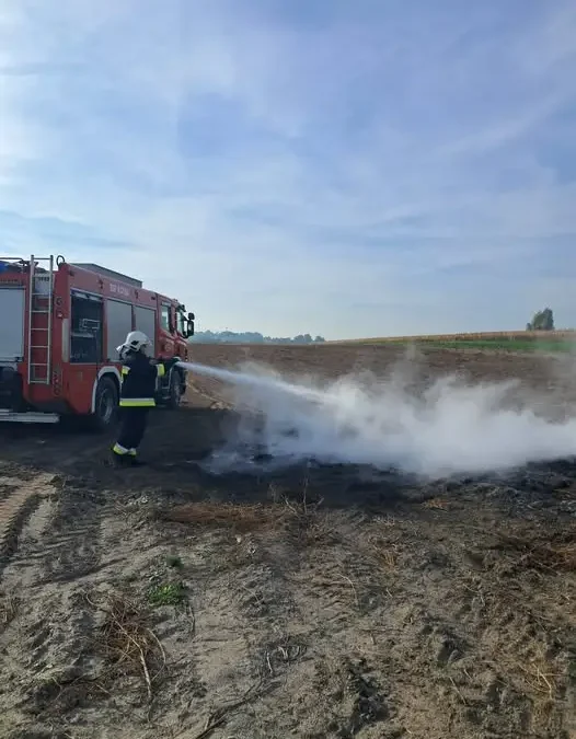 Pożar pozostałości roślinnych przy ul. Krzywej w Kcyni