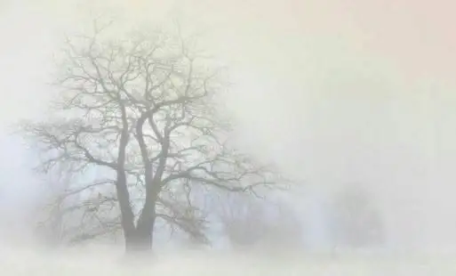 Gęsta mgła nad powiatem nakielskim – ostrzeżenie IMGW do godz. 10:00