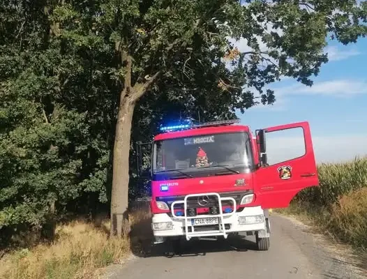 Konar drzewa zagrażał bezpieczeństwu w Matyldzinie – interwencja OSP Mrocza