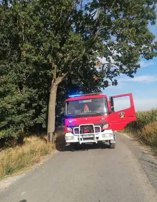Konar drzewa zagrażał bezpieczeństwu w Matyldzinie – interwencja OSP Mrocza