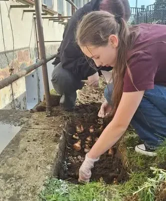 Uczniowie posadzili żonkile. Wiosną wspomogą hospicjum w Wągrowcu