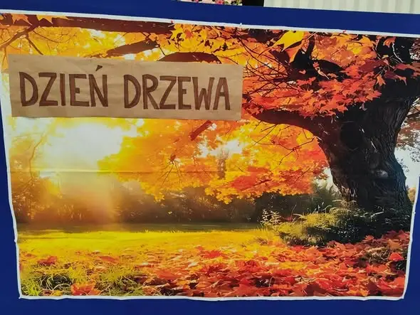 Młodzi znawcy drzew – konkurs przyrodniczy w szkole